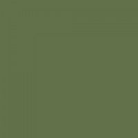 Sorrel Green™ No.207  